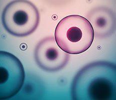 Regenerative Medicine